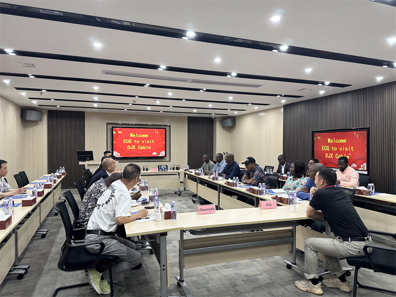 전력 케이블, 제어 케이블, 빌딩 와이어, 둥지아신, DJX 케이블, 중국 케이블 공장, 중국 케이블 제조업체, 중국 케이블 공급