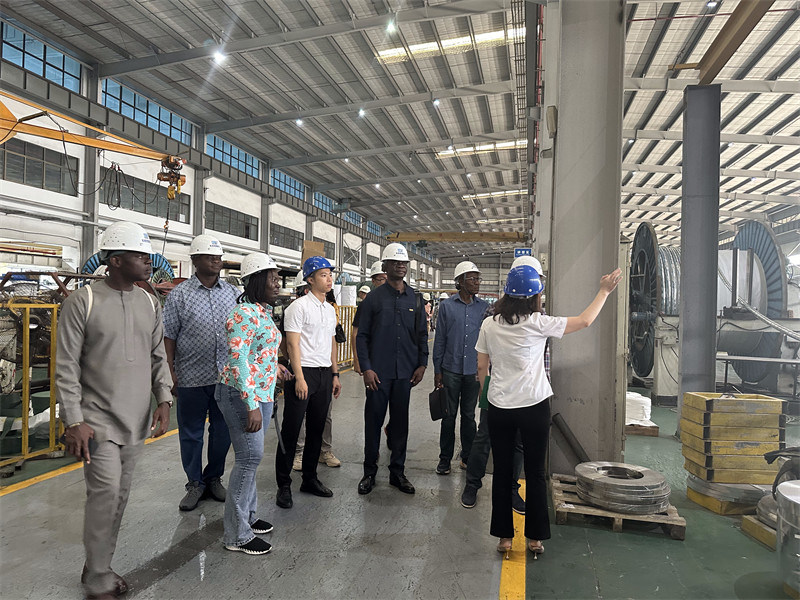 전력 케이블, 제어 케이블, 빌딩 와이어, 둥지아신, DJX 케이블, 중국 케이블 공장, 중국 케이블 제조업체, 중국 케이블 공급