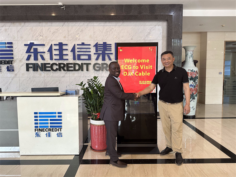 전력 케이블, 제어 케이블, 빌딩 와이어, 둥지아킨, DJX 케이블, 중국 케이블 공장, 중국 전력 케이블 제조업체, const